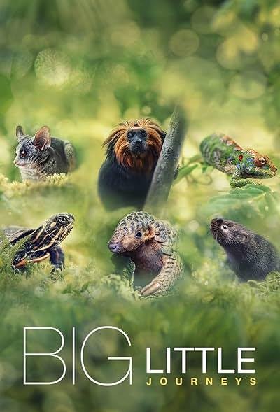 Big Little Journeys 2023