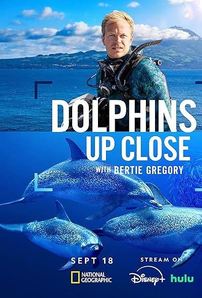 Dolphins Up Close with Bertie Gregory 2025
