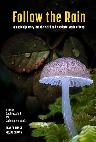 Follow The Rain 2024