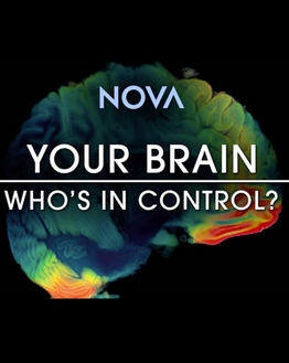 Your Brain: Who`s In Control?